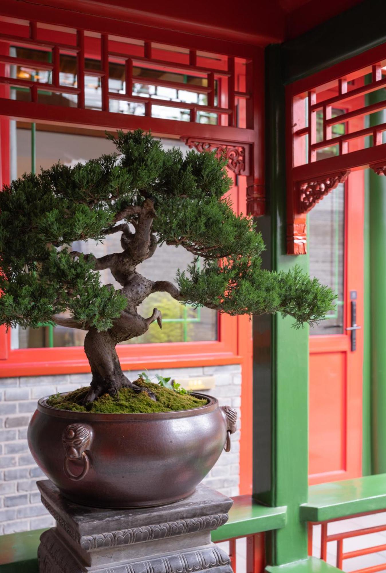 Beijing Xin Xiang Yayuan Wang Fu Jing Forbidden City Countyard Hotel&Free Laundry &Free Coffee &Paid Dumpling Experience Service Khách sạn 4*